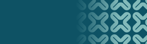 BIZ Health Banner